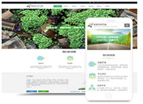 企业营销型网站建设+手机站